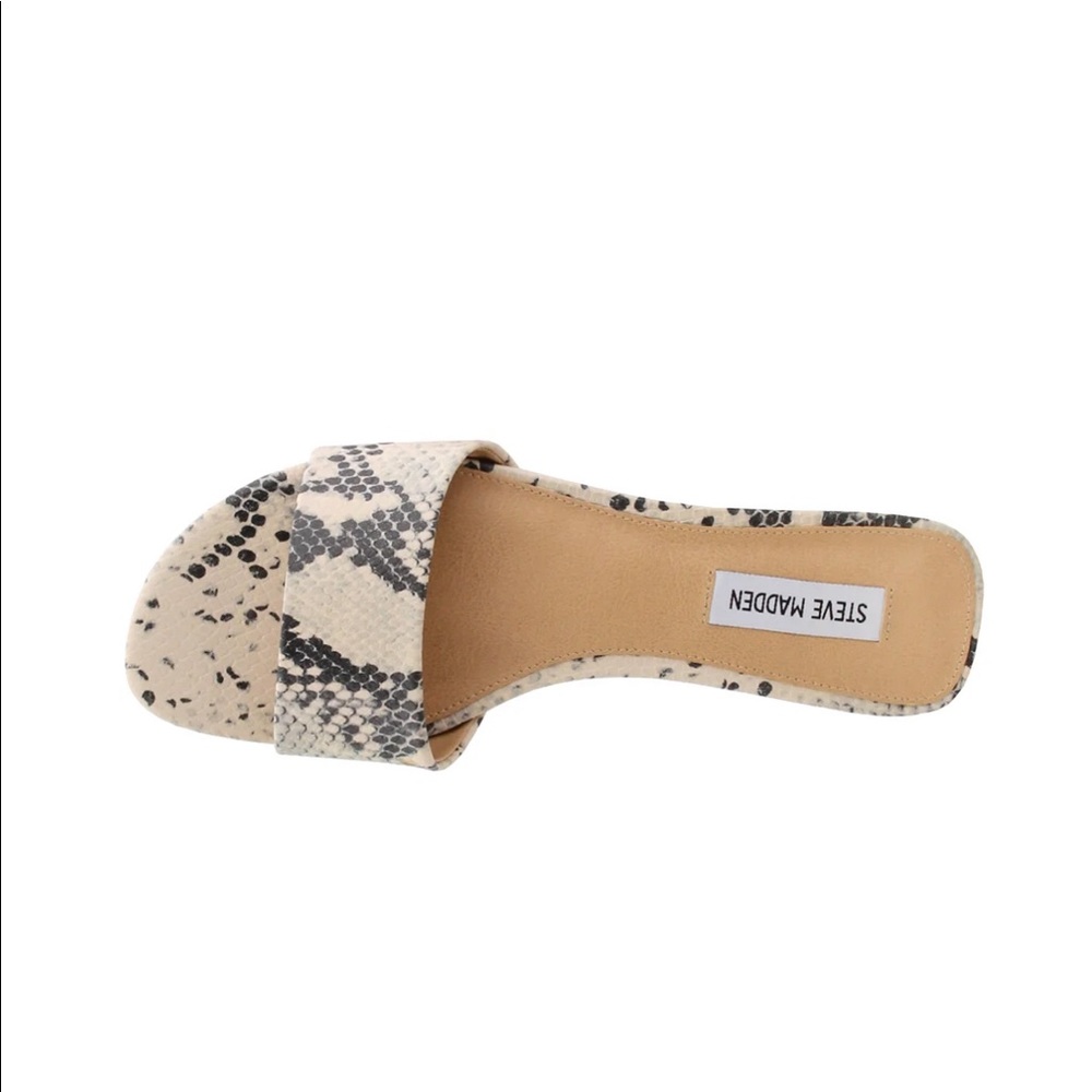 Steve Madden Snake Slide Sandals